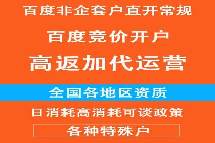 某零售企业网络推广竞价的成功策略分享